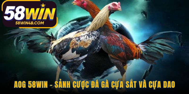 Sảnh cược AOG 58WIN sản phẩm độc quyền phát triển nội bộ