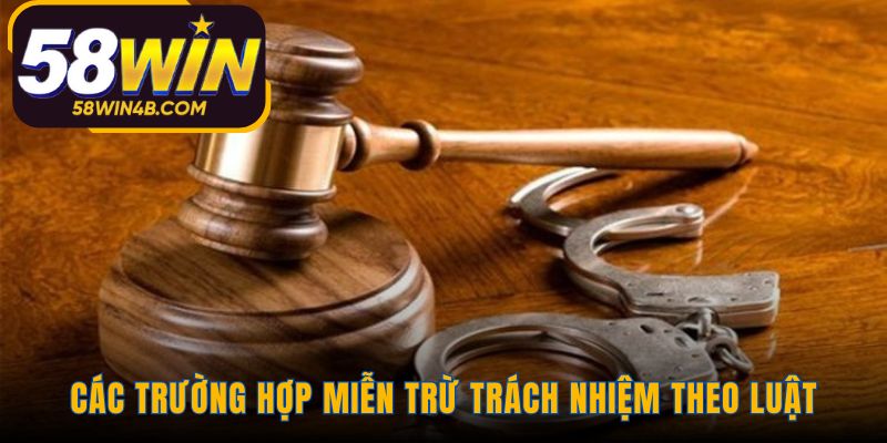 Miễn trừ trách nhiệm phân loại theo lỗi khách quan và người chơi