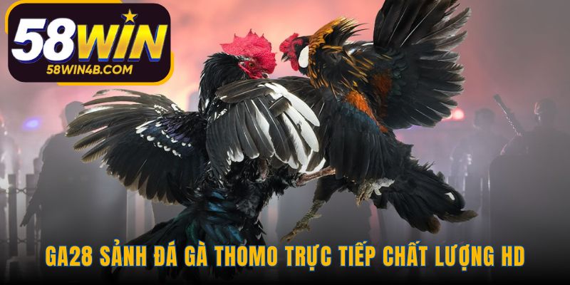 Sảnh GA28 truyền tải trận đấu bằng livestream chất lượng HD