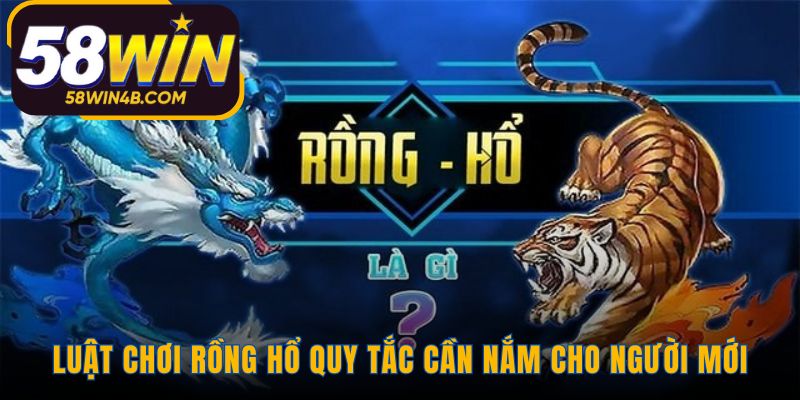 Luật chơi Rồng Hổ tập trung vào cách tính điểm và tỷ lệ thưởng