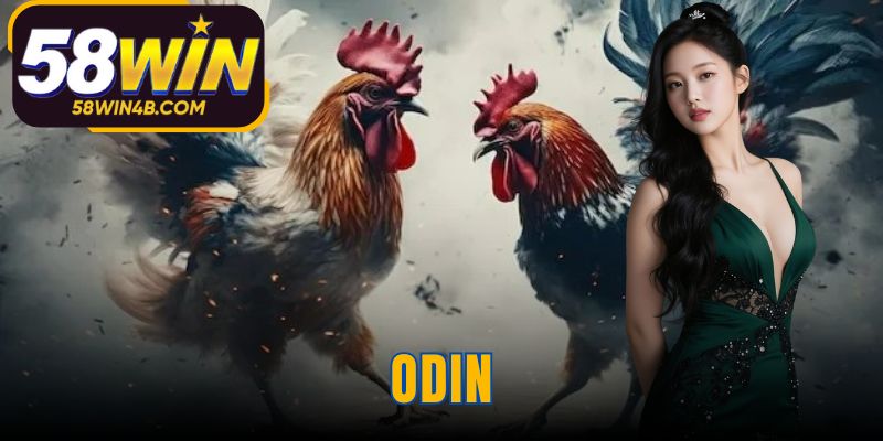 ODIN